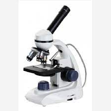 Microscope